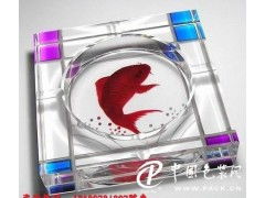 玻璃壁畫數(shù)碼印花設(shè)備的革新與應(yīng)用 從平板打印機到4D寫真機